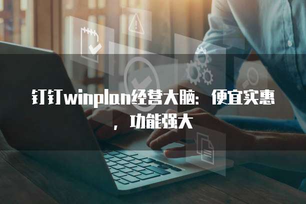钉钉winplan经营大脑：便宜实惠，功能强大