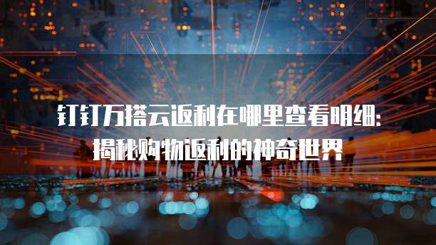 钉钉万搭云返利在哪里查看明细:揭秘购物返利的神奇世界