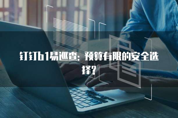 钉钉b1易巡查: 预算有限的安全选择?