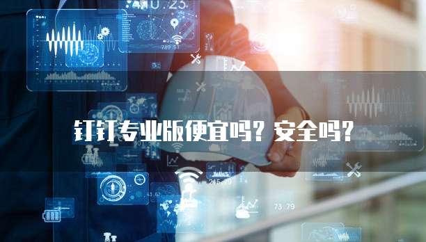 钉钉专业版便宜吗?安全吗?