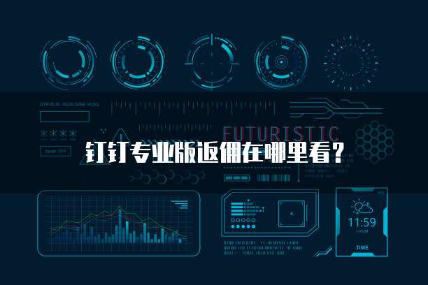 钉钉专业版返佣在哪里看?