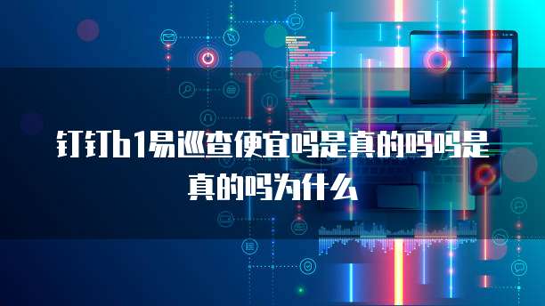 钉钉b1易巡查便宜吗是真的吗吗是真的吗为什么