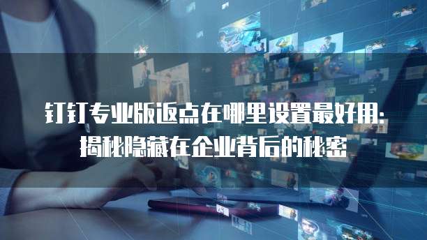 钉钉专业版返点在哪里设置最好用：揭秘隐藏在企业背后的秘密