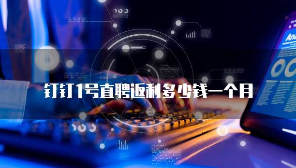 钉钉1号直聘返利多少钱一个月