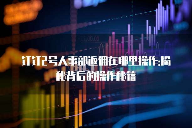 钉钉2号人事部返佣在哪里操作:揭秘背后的操作秘籍