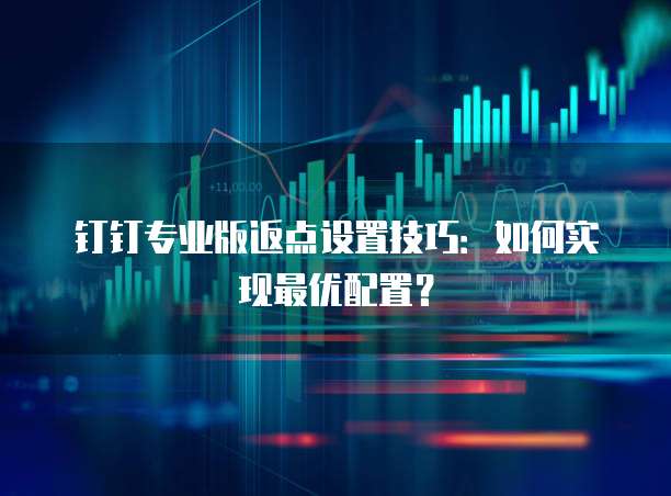 钉钉专业版返点设置技巧：如何实现最优配置？