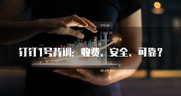 钉钉1号背调:收费、安全、可靠?
