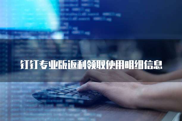 钉钉专业版返利领取使用明细信息