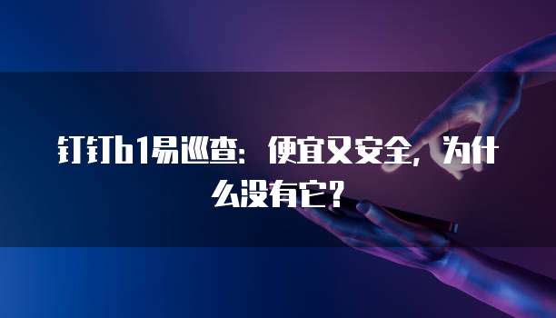 钉钉b1易巡查:便宜又安全,为什么没有它?