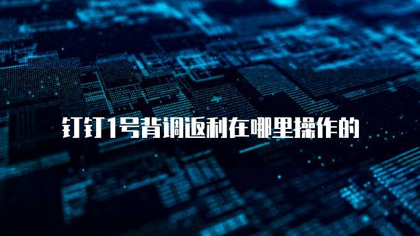 钉钉1号背调返利在哪里操作的