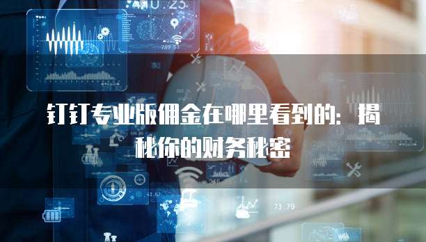 钉钉专业版佣金在哪里看到的:揭秘你的财务秘密