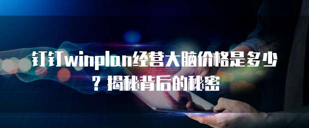 钉钉winplan经营大脑价格是多少?揭秘背后的秘密