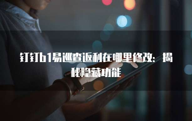 钉钉b1易巡查返利在哪里修改：揭秘隐藏功能