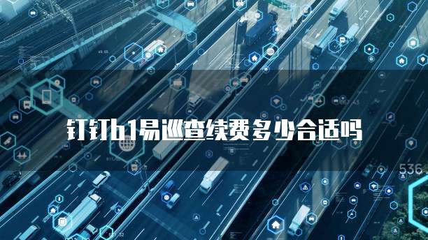 钉钉b1易巡查续费多少合适吗