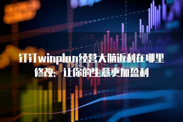 钉钉winplan经营大脑返利在哪里修改:让你的生意更加盈利