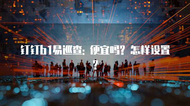钉钉b1易巡查: 便宜吗? 怎样设置?