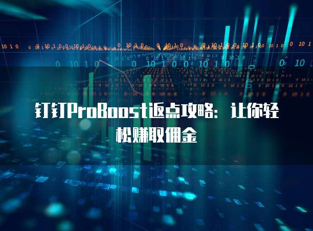 钉钉ProBoost返点攻略:让你轻松赚取佣金