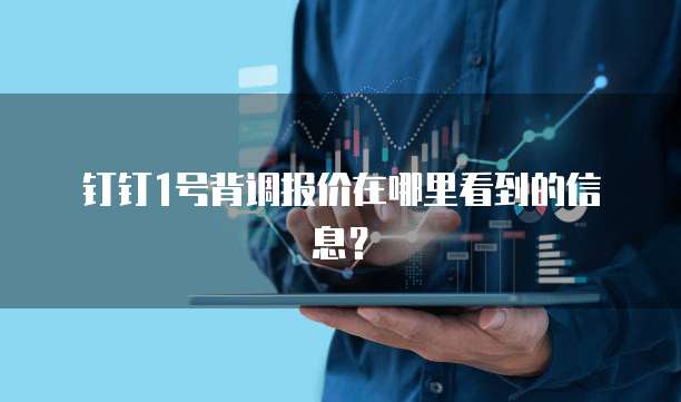 钉钉1号背调报价在哪里看到的信息?