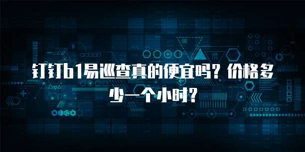 钉钉b1易巡查真的便宜吗?价格多少一个小时?