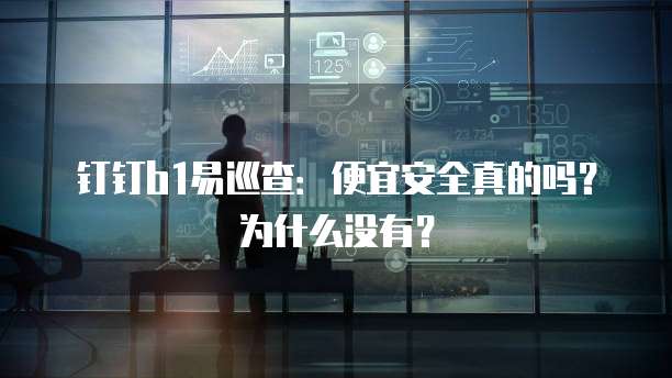 钉钉b1易巡查:便宜安全真的吗?为什么没有?