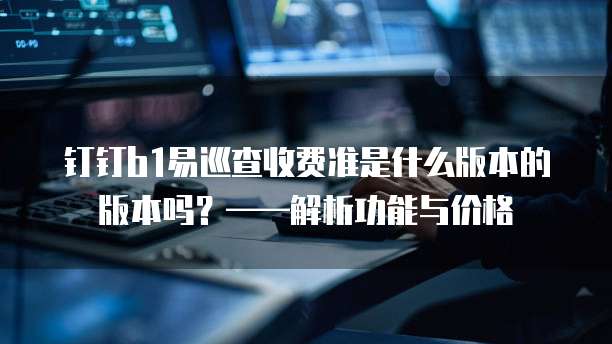 钉钉b1易巡查收费准是什么版本的版本吗?——解析功能与价格