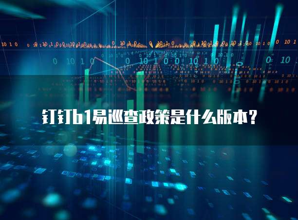 钉钉b1易巡查政策是什么版本？