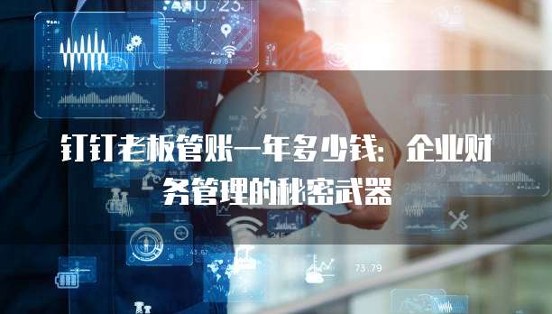 钉钉老板管账一年多少钱:企业财务管理的秘密武器