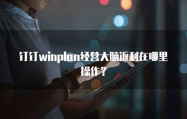 钉钉winplan经营大脑返利在哪里操作?