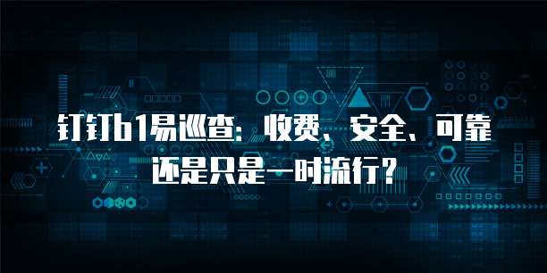 钉钉b1易巡查:收费、安全、可靠还是只是一时流行?