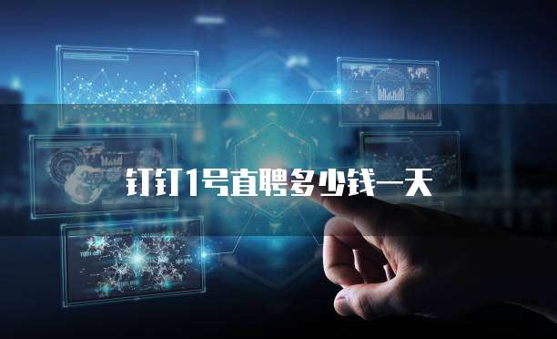 钉钉1号直聘多少钱一天