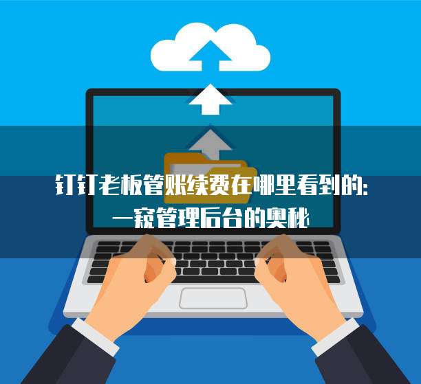 钉钉老板管账续费在哪里看到的:一窥管理后台的奥秘
