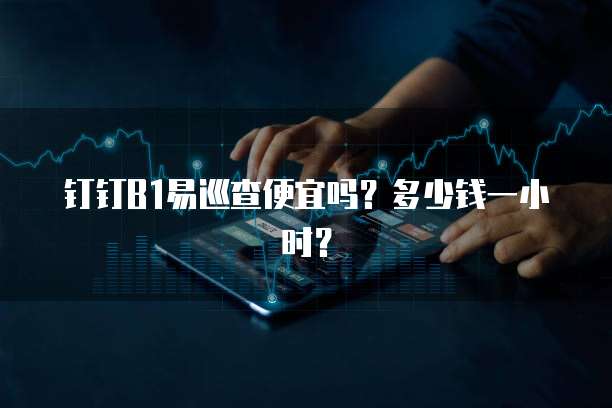 钉钉B1易巡查便宜吗?多少钱一小时?