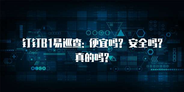 钉钉B1易巡查: 便宜吗? 安全吗? 真的吗?