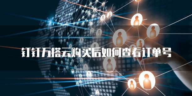 钉钉万搭云购买后如何查看订单号