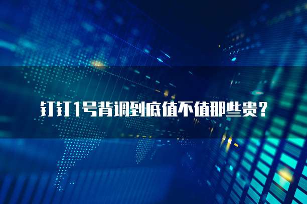 钉钉1号背调到底值不值那些贵?