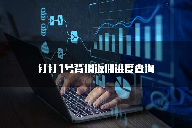 钉钉1号背调返佣进度查询