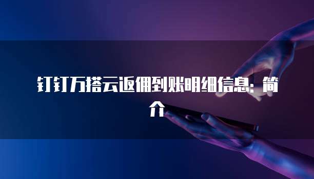 钉钉万搭云返佣到账明细信息: 简介
