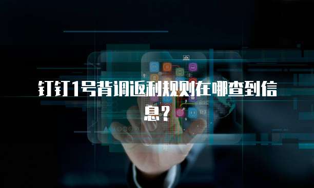 钉钉1号背调返利规则在哪查到信息？