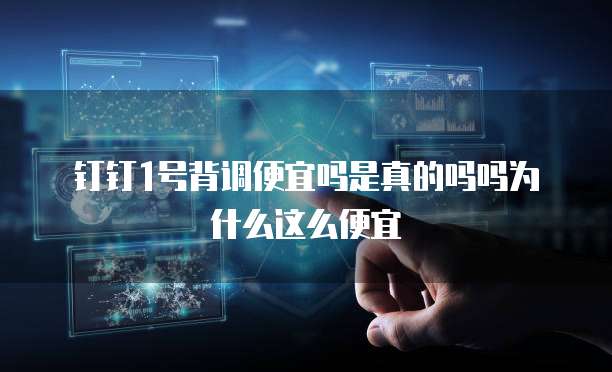 钉钉1号背调便宜吗是真的吗吗为什么这么便宜