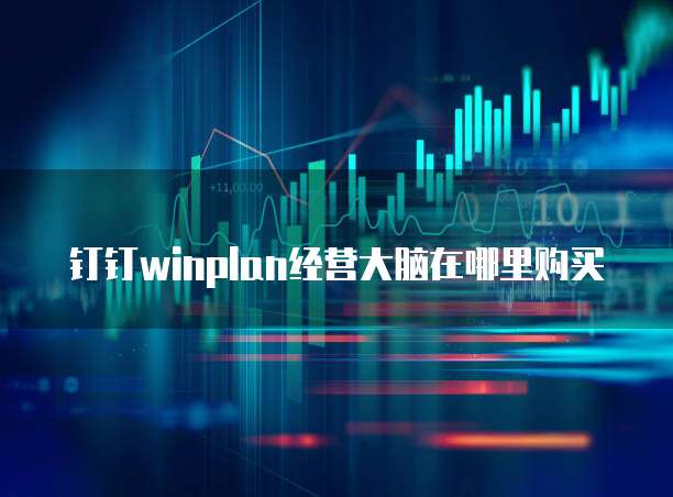 钉钉winplan经营大脑在哪里购买