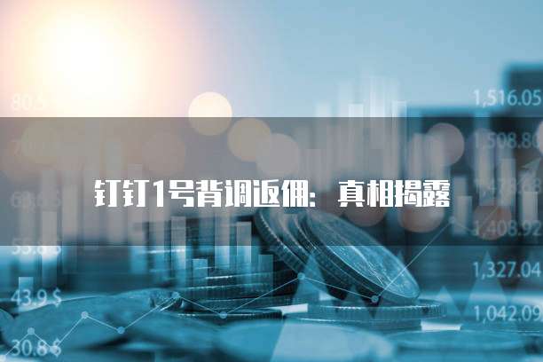 钉钉1号背调返佣:真相揭露