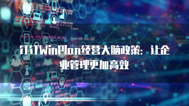 钉钉WinPlan经营大脑政策:让企业管理更加高效