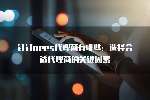 钉钉aees代理商有哪些：选择合适代理商的关键因素