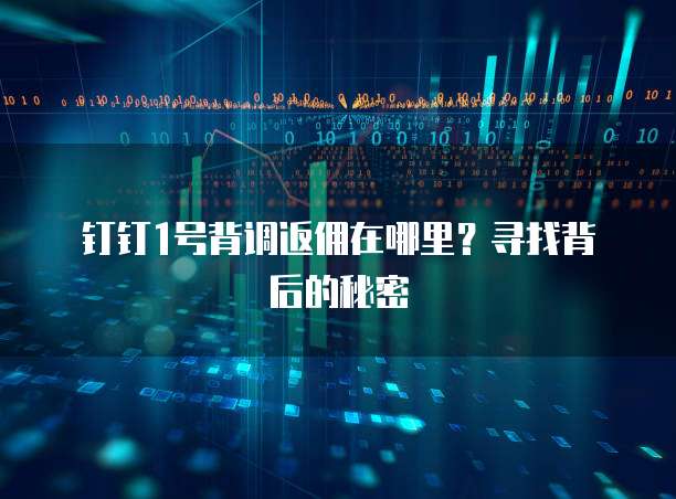 钉钉1号背调返佣在哪里?寻找背后的秘密