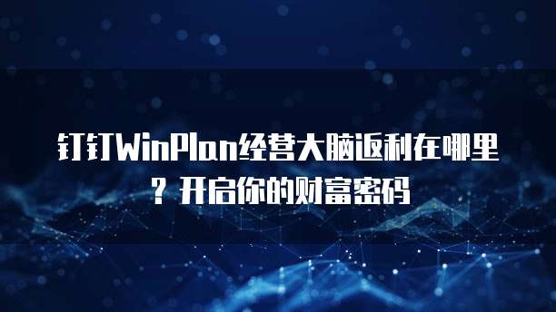 钉钉WinPlan经营大脑返利在哪里？开启你的财富密码