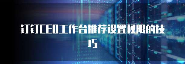 钉钉CEO工作台推荐设置权限的技巧