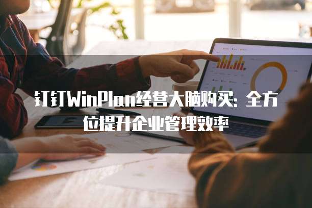 钉钉WinPlan经营大脑购买: 全方位提升企业管理效率