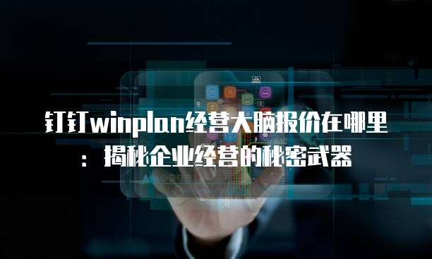 钉钉winplan经营大脑报价在哪里:揭秘企业经营的秘密武器