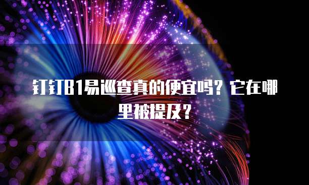 钉钉B1易巡查真的便宜吗?它在哪里被提及?