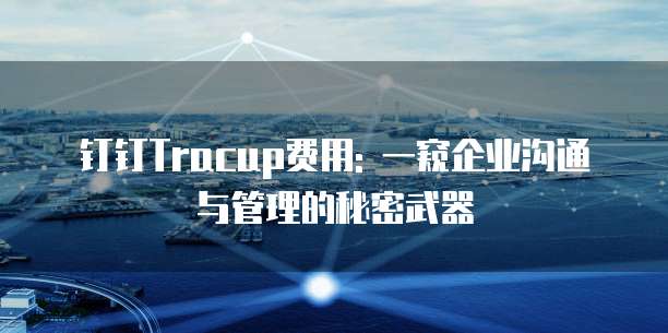 钉钉Tracup费用: 一窥企业沟通与管理的秘密武器